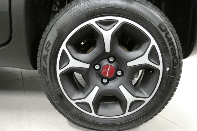 FIAT Panda usata, con Fendinebbia