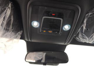 BYD Dolphin Surf usata, con Volante in pelle