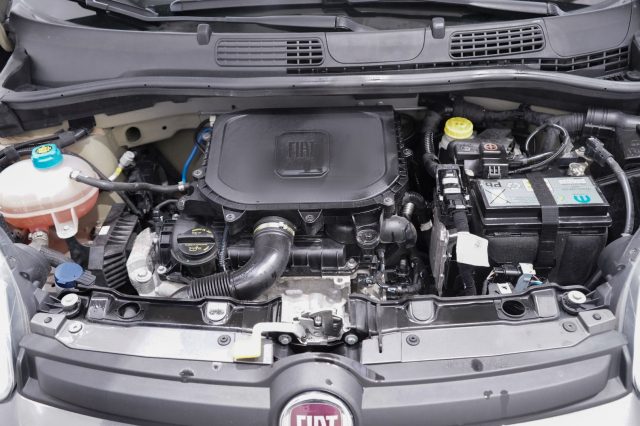 FIAT New Panda usata 30