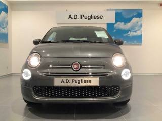 FIAT 500 usata 12