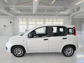 FIAT Panda usata, con Airbag Passeggero