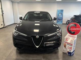 ALFA ROMEO Stelvio usata, con Airbag testa
