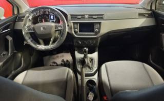 SEAT Ibiza usata, con Fendinebbia