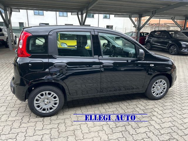 FIAT Panda usata, con Alzacristalli elettrici