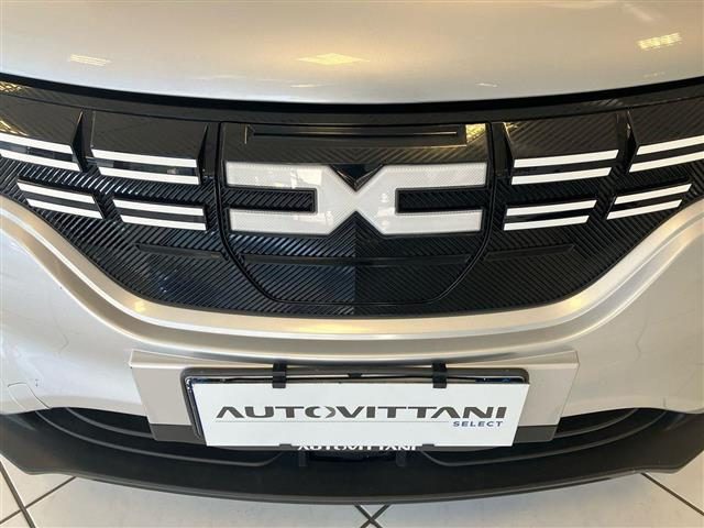 DACIA Spring usata 18
