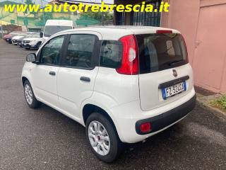 FIAT Panda usata, con Airbag Passeggero