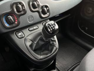 FIAT Panda usata 13
