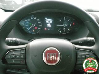 FIAT Ducato usata 14