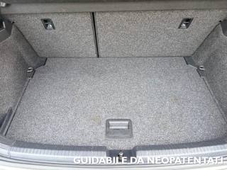 VOLKSWAGEN Polo usata, con Cruise Control