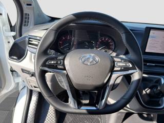 MAXUS Other usata 10