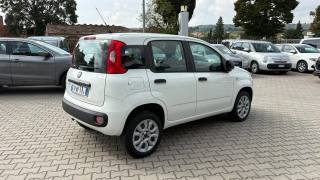 FIAT Panda usata, con Airbag Passeggero