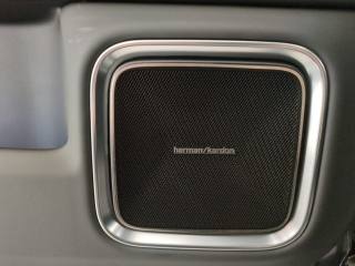 POLESTAR Polestar 4 usata, con Regolazione elettrica sedili