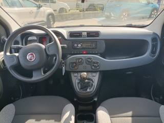 FIAT Panda usata, con Servosterzo