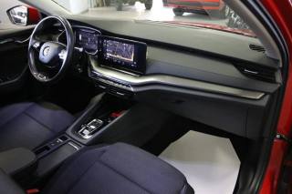 SKODA Octavia usata, con Climatizzatore