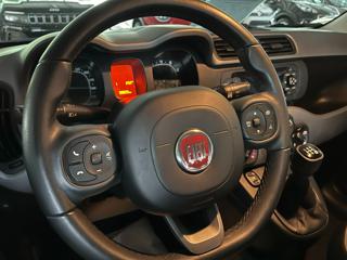 FIAT Panda usata, con Fendinebbia