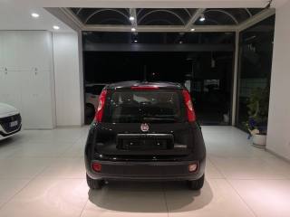 FIAT Panda usata, con Alzacristalli elettrici