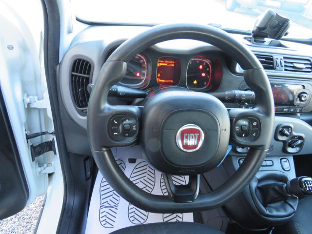FIAT Panda usata 24