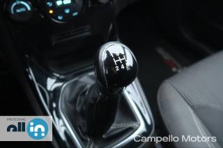 FORD Fiesta usata 13