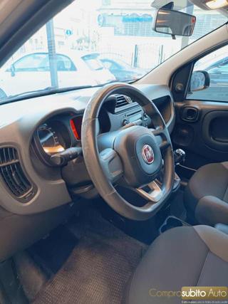 FIAT Panda usata, con Controllo trazione