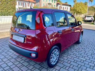 FIAT Panda usata, con Alzacristalli elettrici