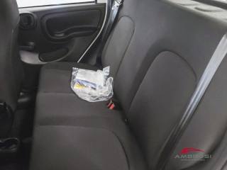 FIAT Panda usata 9