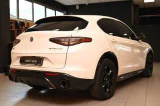 ALFA ROMEO Stelvio usata 86
