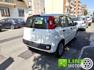 FIAT Panda usata 13