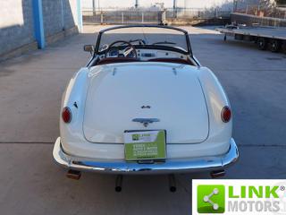 LANCIA Aurelia usata 5