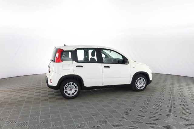 FIAT Panda usata 2