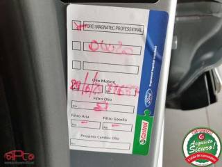 FORD Puma usata, con Vetri oscurati