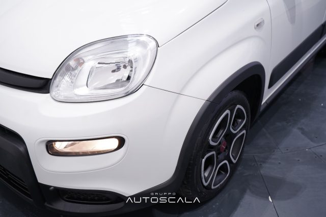 FIAT New Panda usata 24