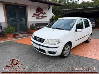 FIAT Punto 1.2 16V 5 porte Dynamic NEOPATENTATI CLIMA BT SERV