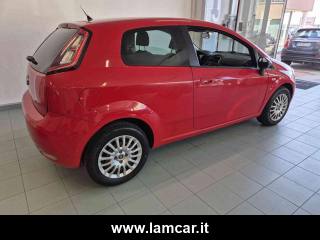 FIAT Punto usata, con Fendinebbia