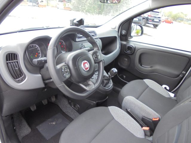FIAT Panda usata 16