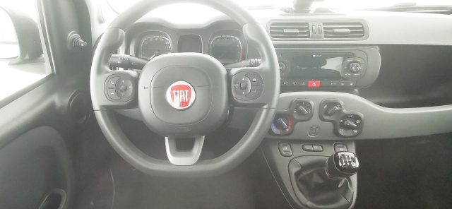 FIAT Panda usata 44