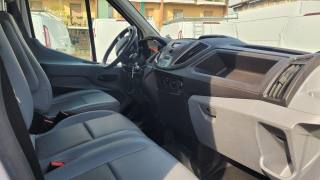 FORD Transit usata, con Fendinebbia