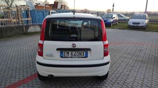 FIAT Panda usata, con Climatizzatore