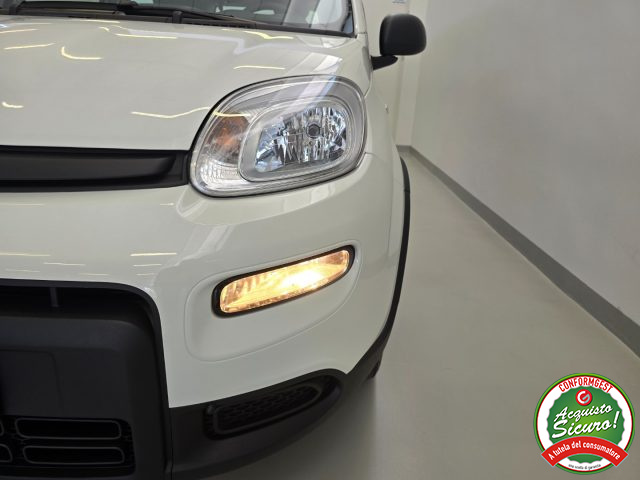 FIAT Panda usata 23