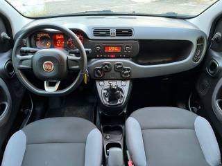 FIAT Panda usata 14