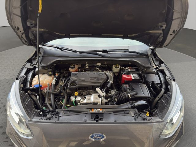 FORD Focus usata, con Isofix