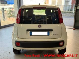 FIAT Panda usata 15