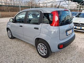 FIAT Panda usata, con Climatizzatore