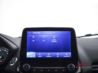FORD EcoSport usata 14