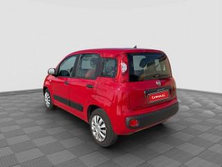 FIAT Panda usata 2