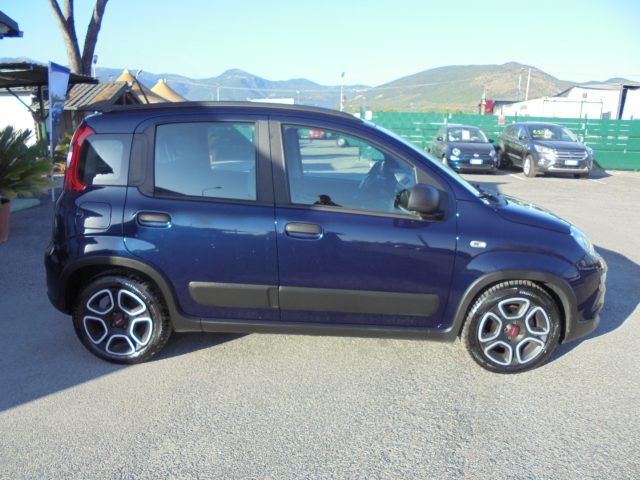 FIAT Panda usata 14