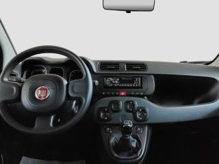FIAT Panda usata 11