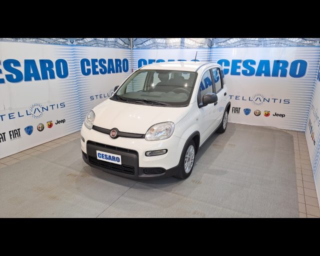 FIAT New Panda usata, con Airbag laterali