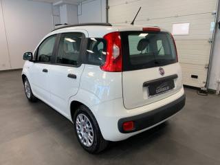 FIAT Panda usata, con Alzacristalli elettrici