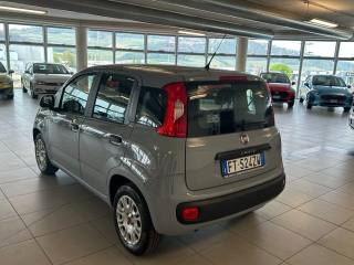 FIAT Panda usata, con Autoradio