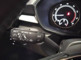 SKODA Fabia usata 20
